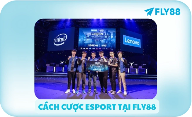 cách cược esport tại fly88
