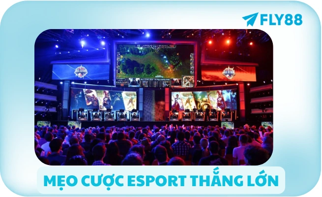 mẹo cược esport thắng lớn